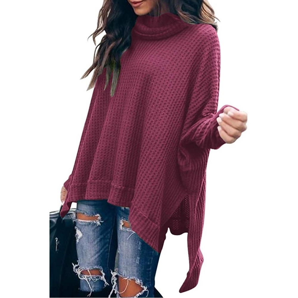Caracelia Turtle Nexk Sweater